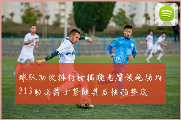 球队助攻排行榜揭晓老鹰领跑场均313助攻爵士紧随其后快船垫底