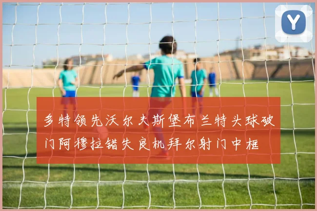 多特领先沃尔夫斯堡布兰特头球破门阿穆拉错失良机拜尔射门中框