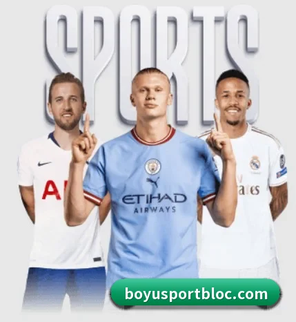 五个功能入口,赛程查询路径更短 - BOYUSPORTS