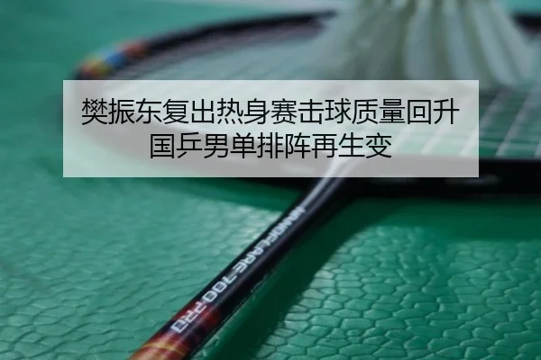 樊振东复出热身赛击球质量回升 国乒男单排阵再生变（BOYUSPORTS）